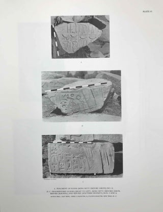 Reliefs and inscriptions at Karnak. The Epigraphic Survey. Volumes I, II, III & IV (complete set)[newline]M4390-38.jpeg