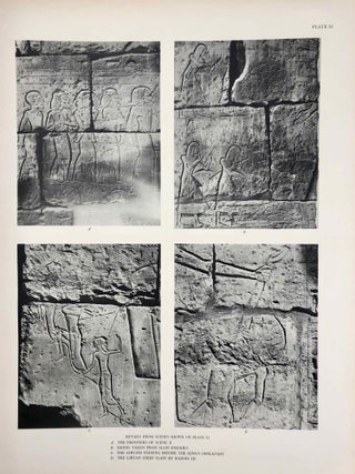 Reliefs and inscriptions at Karnak. The Epigraphic Survey. Volumes I, II, III & IV (complete set)[newline]M4390b-30.jpg