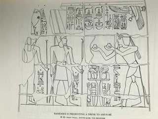 The Great Hypostyle Hall at Karnak. The wall reliefs. Volume I, part 1.[newline]M4450a-12.jpeg