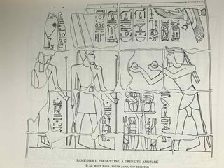 The Great Hypostyle Hall at Karnak. The wall reliefs. Volume I, part 1.