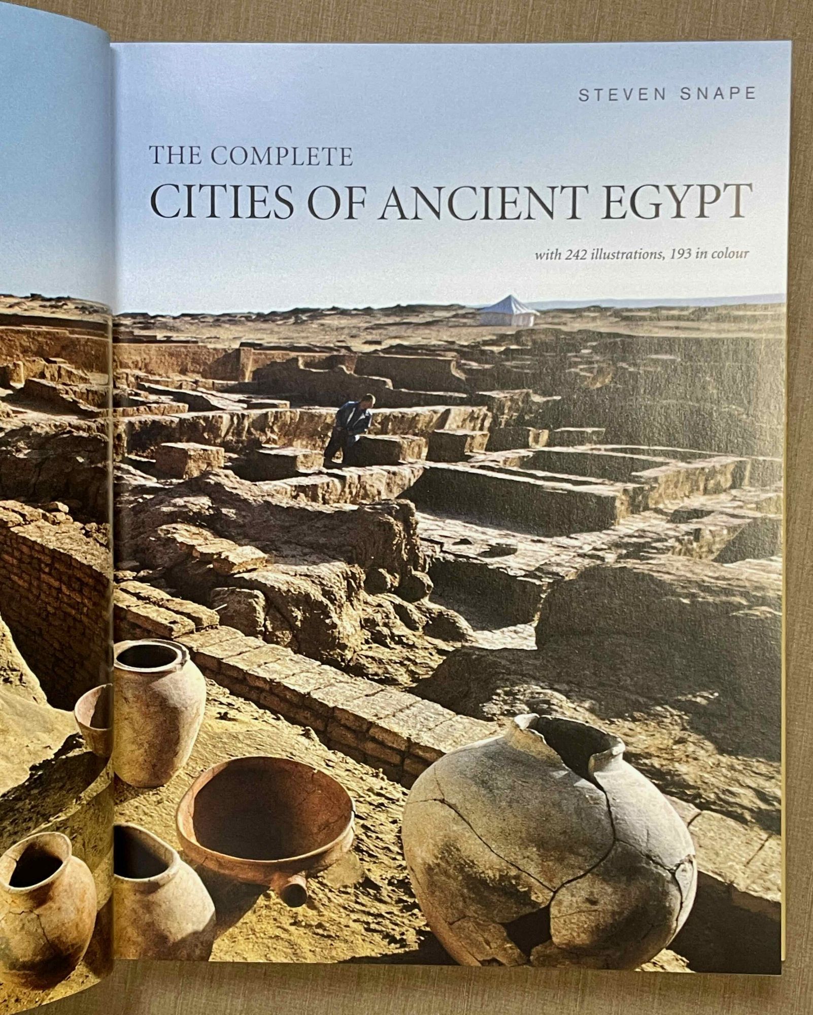 The complete cities of Ancient Egypt | SNAPE Steven R
