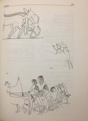 Les chevaux du Nouvel Empire égyptien: origines, races, harnachement[newline]M4483-07.jpg
