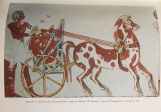 Les chevaux du Nouvel Empire égyptien: origines, races, harnachement[newline]M4483-11.jpg