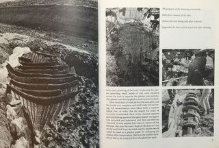 Chronicle. Essays from ten years of television archaeology.