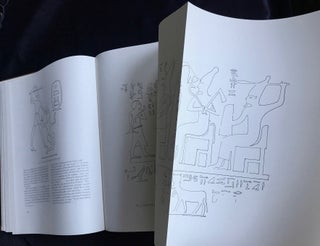 Heka-Nefer and the Dynastic Material from Toshka and Arminna