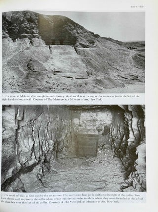 The Theban Necropolis. Past, Present and Future.[newline]M4552f-07.jpeg