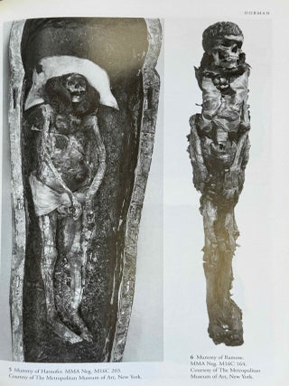 The Theban Necropolis. Past, Present and Future.[newline]M4552f-08.jpeg