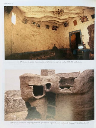 The Theban Necropolis. Past, Present and Future.[newline]M4552f-09.jpeg
