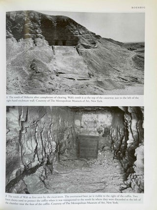 The Theban Necropolis. Past, Present and Future.[newline]M4552g-09.jpeg
