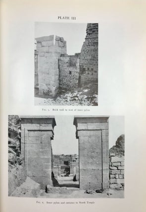 Karanis: The Temples, Coin Hoards, Botanical and Zoological Reports, Seasons 1924-31[newline]M4569-08.jpeg