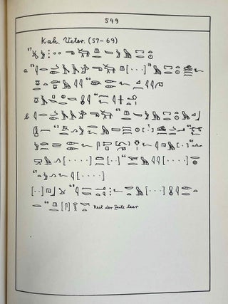 Die medizinischen Texte in hieroglyphischer Umschreibung autographiert[newline]M4586e-12.jpeg