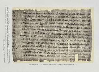 Le papyrus médical Chester Beatty[newline]M4589f-02.jpeg