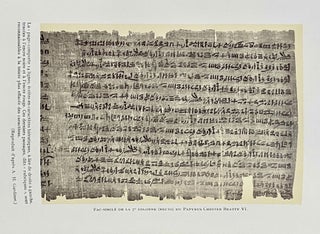 Le papyrus médical Chester Beatty