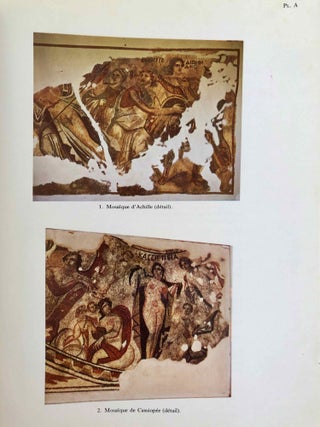 Les mosaïques des maisons d'Achille et de Cassiopée à Palmyre[newline]M4600a-03.jpeg
