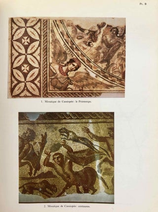 Les mosaïques des maisons d'Achille et de Cassiopée à Palmyre[newline]M4600a-05.jpeg