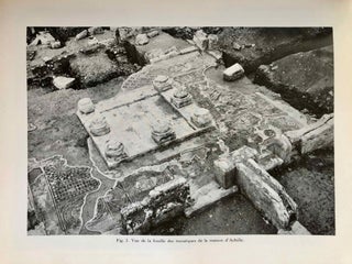 Les mosaïques des maisons d'Achille et de Cassiopée à Palmyre[newline]M4600a-06.jpeg