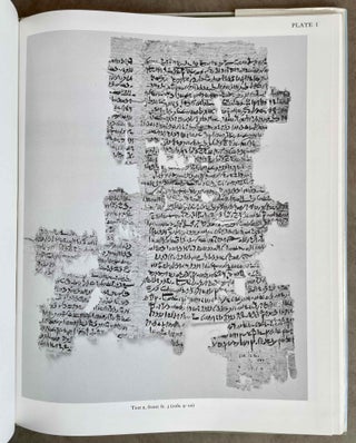 Saqqara Demotic Papyri, I (P. Dem. Saq. I )[newline]M4628a-08.jpeg