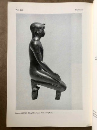 Africa in Antiquity. The Arts of Ancient Nubia and the Sudan. Proceedings of the Symposium Held in Conjunction with the Exhibition, Brooklyn, September 29- October 1, 1978