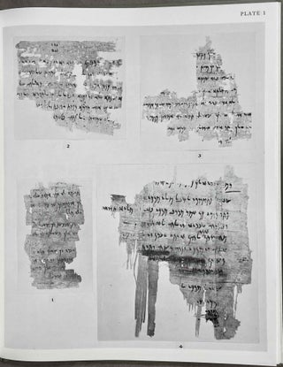 Aramaic Texts from North Saqqara with Some Fragments in Phoenician[newline]M4686a-07.jpeg