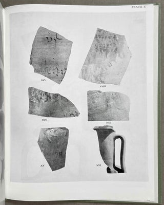 Aramaic Texts from North Saqqara with Some Fragments in Phoenician[newline]M4686a-08.jpeg