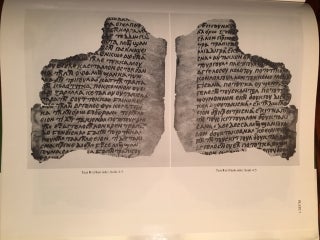 Old Nubian Texts from Qasr Ibrim, Vols. I –III (complete set)[newline]M4687-06.jpg