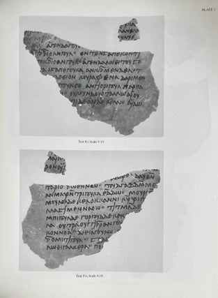 Old Nubian Texts from Qasr Ibrim. Volumes I & II.[newline]M4687a-06.jpeg