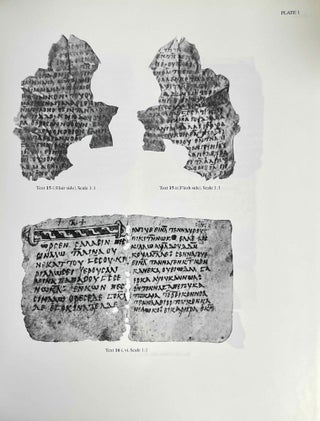 Old Nubian Texts from Qasr Ibrim. Volumes I & II.[newline]M4687a-12.jpeg