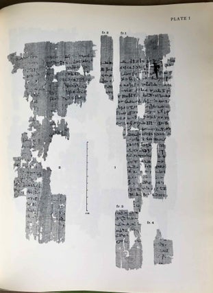 Papyri from Tebtunis in Egyptian and in Greek[newline]M4688a-07.jpg