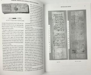 Demotic Papyri and Ostraca from Qasr Ibrim[newline]M4715a-05.jpeg