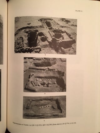 Excavations Between Abu Simbel and the Sudan Frontier, Part 8: Meroitic Remains From Qustul Cemetery Q, Ballana Cemetery B, and a Ballana Settlement. 2 volumes: Text & Figures (complete set)[newline]M4719-11.jpg
