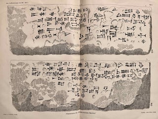 Die Pflastersteine von Aiburschabu in Babylon