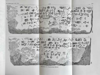 Die Pflastersteine von Aiburschabu in Babylon[newline]M4814a-04.jpeg