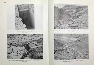 Excavations in the royal necropolis at El-'Amarna, 1984[newline]M4857g-07.jpeg