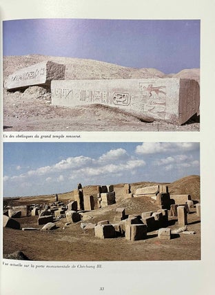 La découverte des trésors de Tanis. Aventures archéologiques en Egypte.[newline]M4861h-04.jpeg
