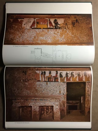 Nofretari: Eine Dokumentation der Wandgemälde ihres Grabes. A documentation of her tomb and its decoration.