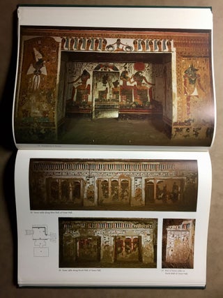 Nofretari: Eine Dokumentation der Wandgemälde ihres Grabes. A documentation of her tomb and its decoration.