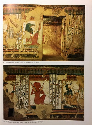 Nofretari: Eine Dokumentation der Wandgemälde ihres Grabes. A documentation of her tomb and its decoration.[newline]M4881b-24.jpg