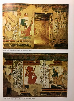 Nofretari: Eine Dokumentation der Wandgemälde ihres Grabes. A documentation of her tomb and its decoration.