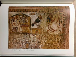 Nofretari: Eine Dokumentation der Wandgemälde ihres Grabes. A documentation of her tomb and its decoration.