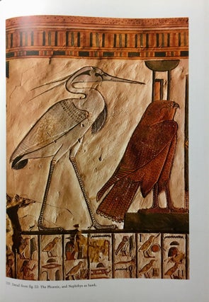 Nofretari: Eine Dokumentation der Wandgemälde ihres Grabes. A documentation of her tomb and its decoration.