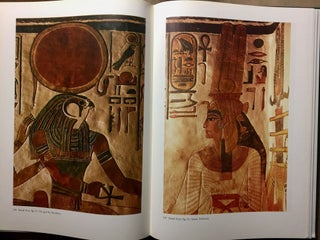 Nofretari: Eine Dokumentation der Wandgemälde ihres Grabes. A documentation of her tomb and its decoration.
