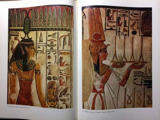 Nofretari: Eine Dokumentation der Wandgemälde ihres Grabes. A documentation of her tomb and its decoration.