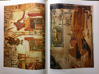 Nofretari: Eine Dokumentation der Wandgemälde ihres Grabes. A documentation of her tomb and its decoration.