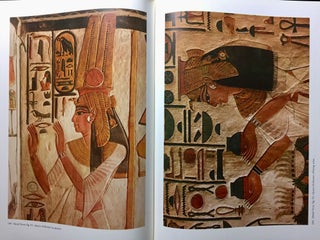 Nofretari: Eine Dokumentation der Wandgemälde ihres Grabes. A documentation of her tomb and its decoration.