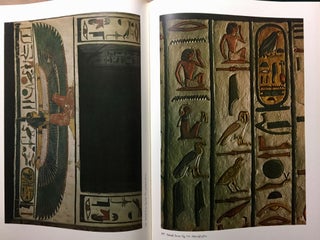 Nofretari: Eine Dokumentation der Wandgemälde ihres Grabes. A documentation of her tomb and its decoration.