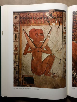 Nofretari: Eine Dokumentation der Wandgemälde ihres Grabes. A documentation of her tomb and its decoration.