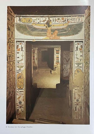 Nofretari: Eine Dokumentation der Wandgemälde ihres Grabes. A documentation of her tomb and its decoration.[newline]M4881f-15.jpeg