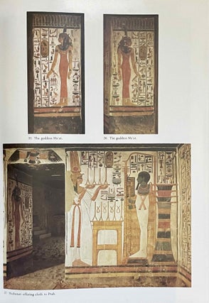 Nofretari: Eine Dokumentation der Wandgemälde ihres Grabes. A documentation of her tomb and its decoration.[newline]M4881f-16.jpeg