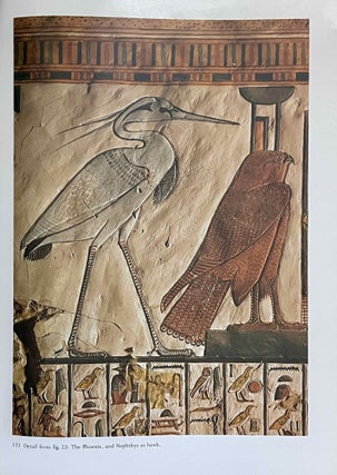 Nofretari: Eine Dokumentation der Wandgemälde ihres Grabes. A documentation of her tomb and its decoration.[newline]M4881f-17.jpeg