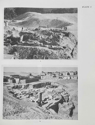 The Anubieion at Saqqara. Vol. I: The settlement and the temple precinct. Vol. II: The cemeteries (complete set)[newline]M4919a-07.jpeg